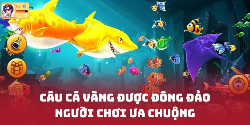 Câu cá vàng được đông đảo người chơi ưa chuộng