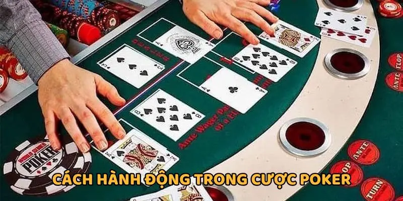 Hành động được dùng trong đánh Poker