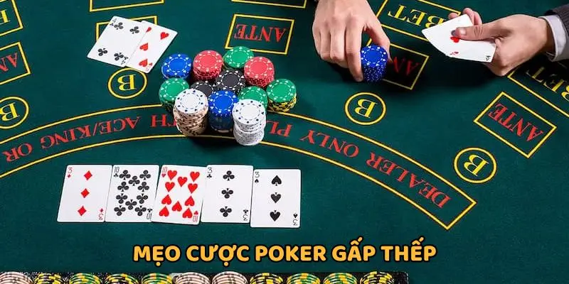 Mẹo chơi Poker tăng lợi nhuận với gấp thếp